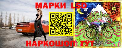 гашик Славянск-на-Кубани