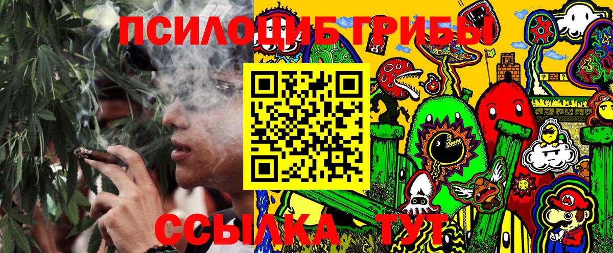 Псилоцибиновые грибы Psilocybe Улан-Удэ