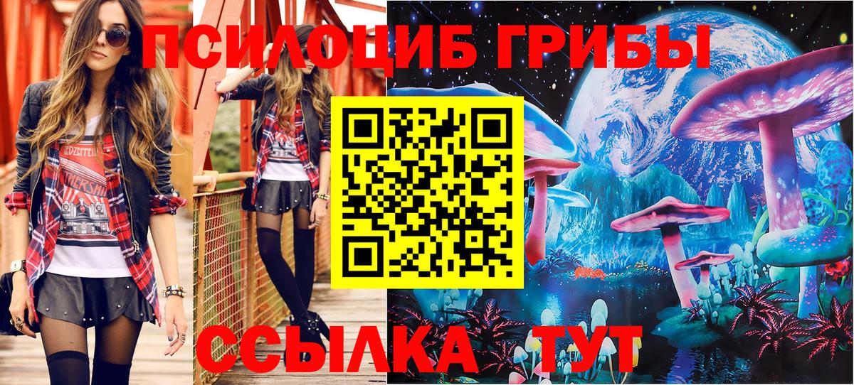 Псилоцибиновые грибы Cubensis  Вход с VPN  Улан-Удэ 